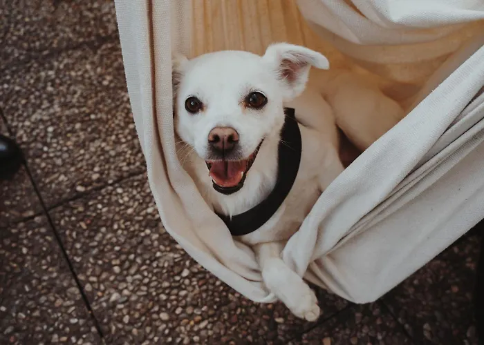 Ostello Milano Centro: Accoglienza e Comfort nel Cuore di Milano