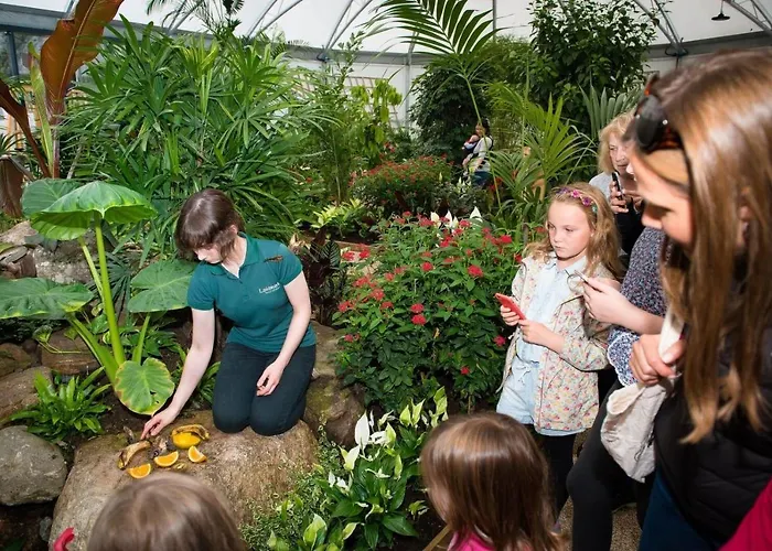 Premier Accommodations in Aviemore